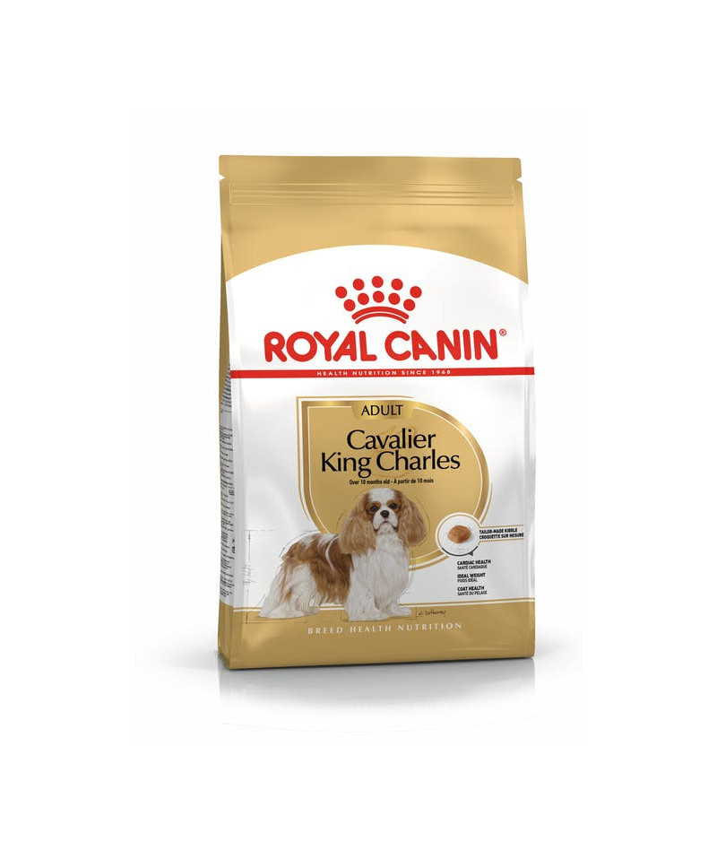 ROYAL CANIN ALIMENTO SECCO...