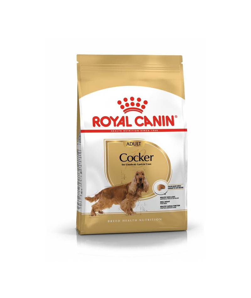 ROYAL CANIN ALIMENTO SECCO...