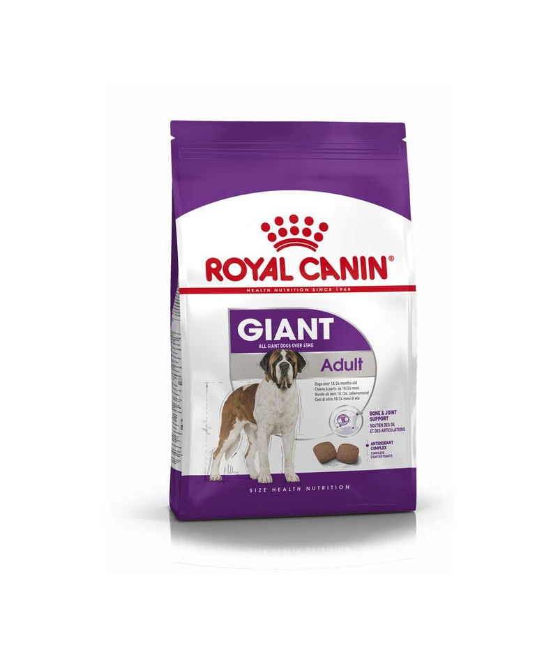 ROYAL CANIN ALIMENTO SECCO...