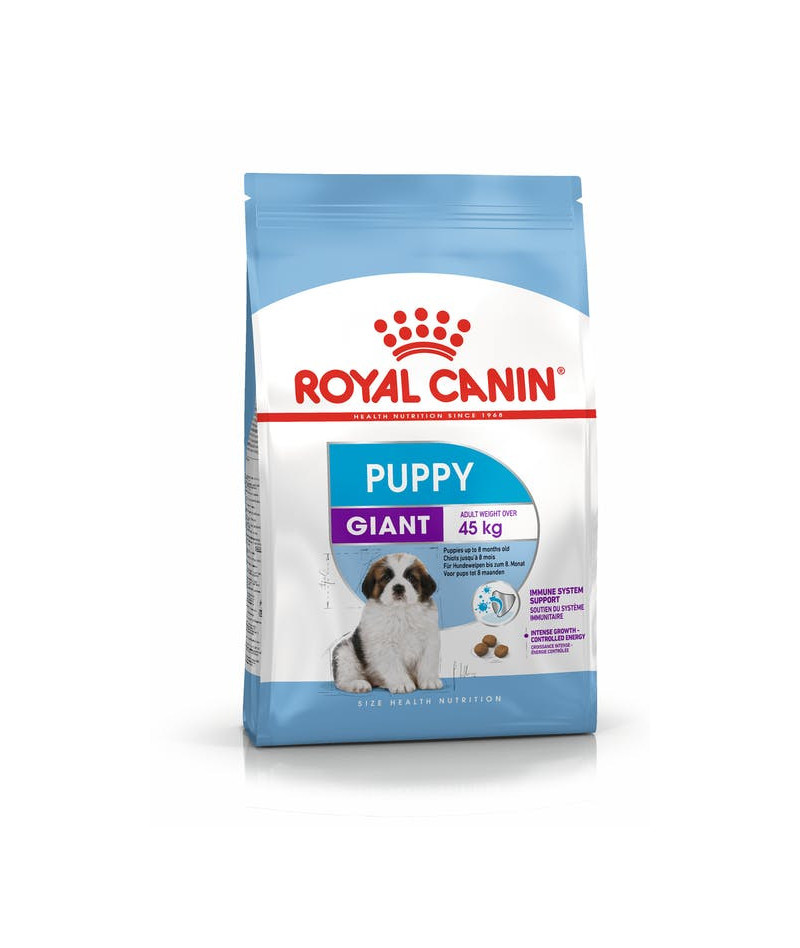 ROYAL CANIN ALIMENTO SECCO...