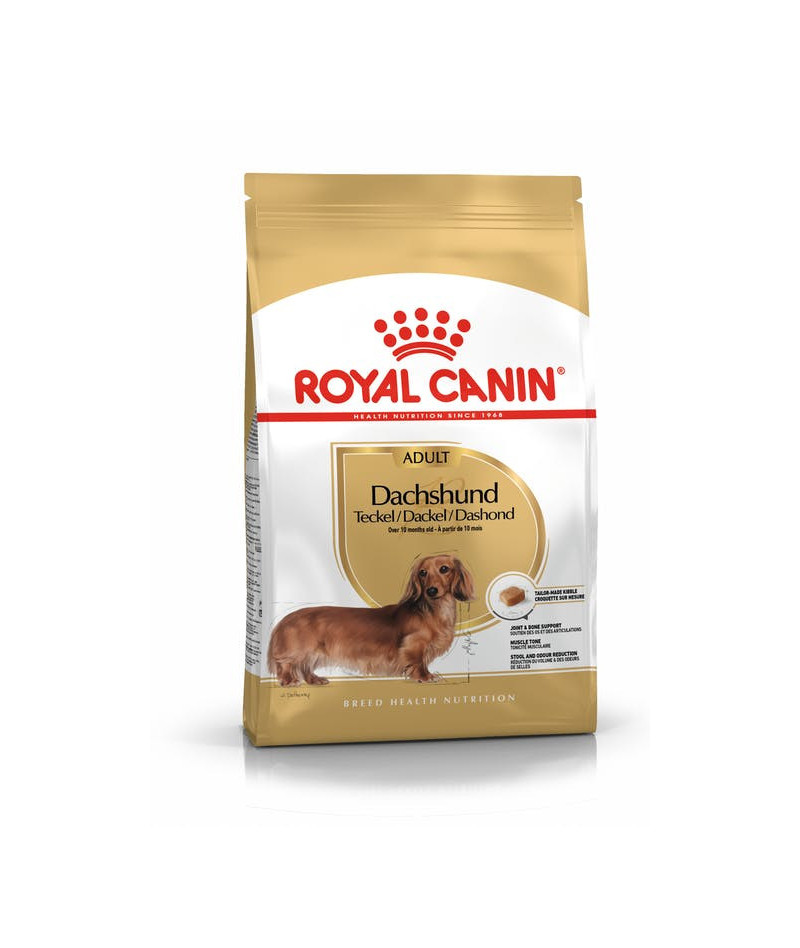 ROYAL CANIN ALIMENTO SECCO...