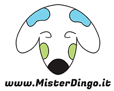 Mister Dingo